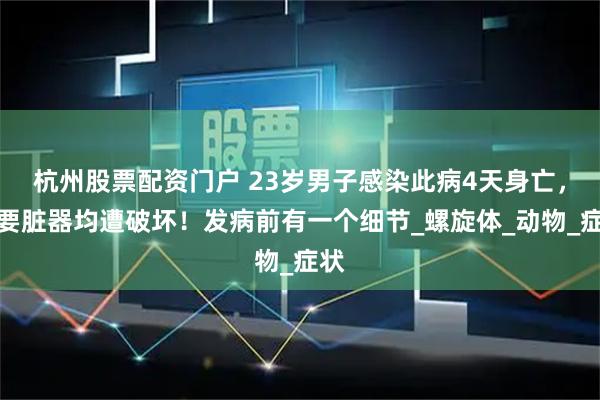 杭州股票配资门户 23岁男子感染此病4天身亡，重要脏器均遭破坏！发病前有一个细节_螺旋体_动物_症状